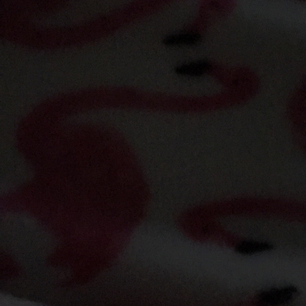 Meet your Posher, Sarah chase